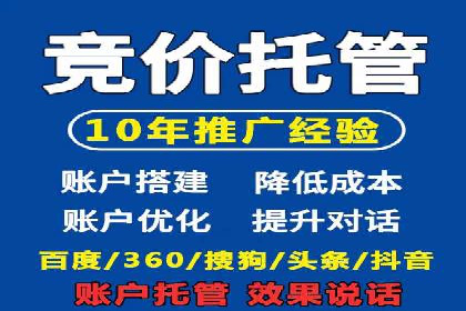 SEM优化师成功案例：助力企业实现品牌升级